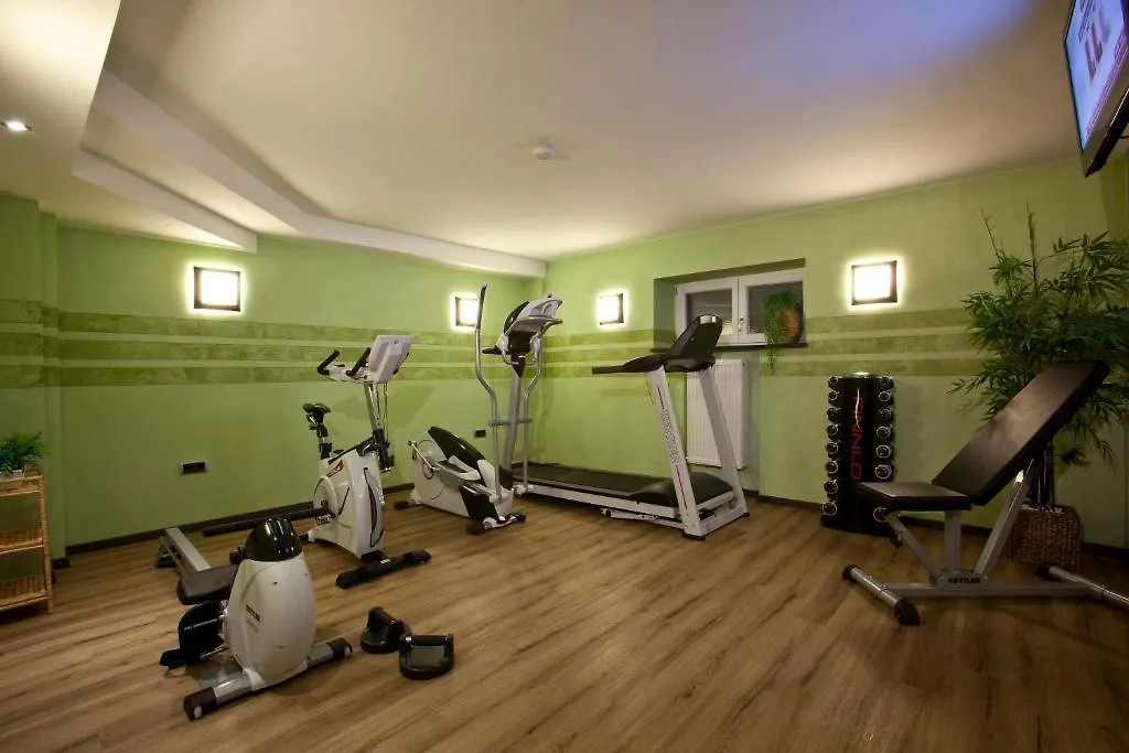 אולכינג Hotel Schiller 3*,
